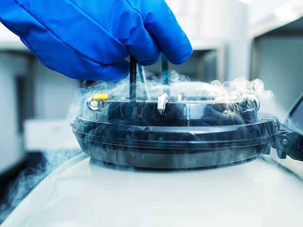 IVF